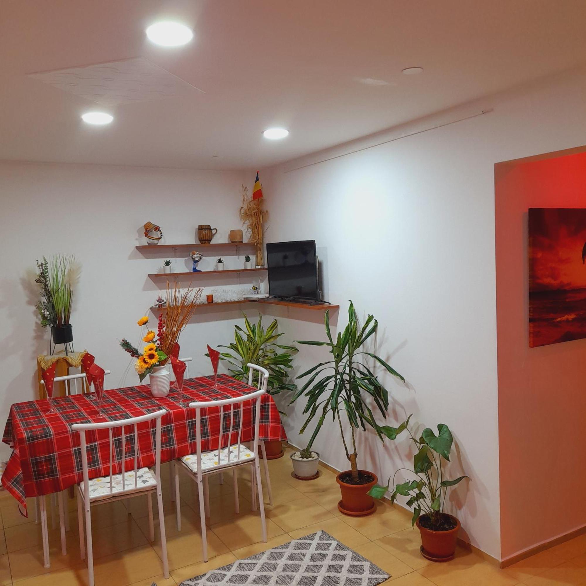 Apartment Boulevard Cetate Άλμπα Ιούλια Δωμάτιο φωτογραφία