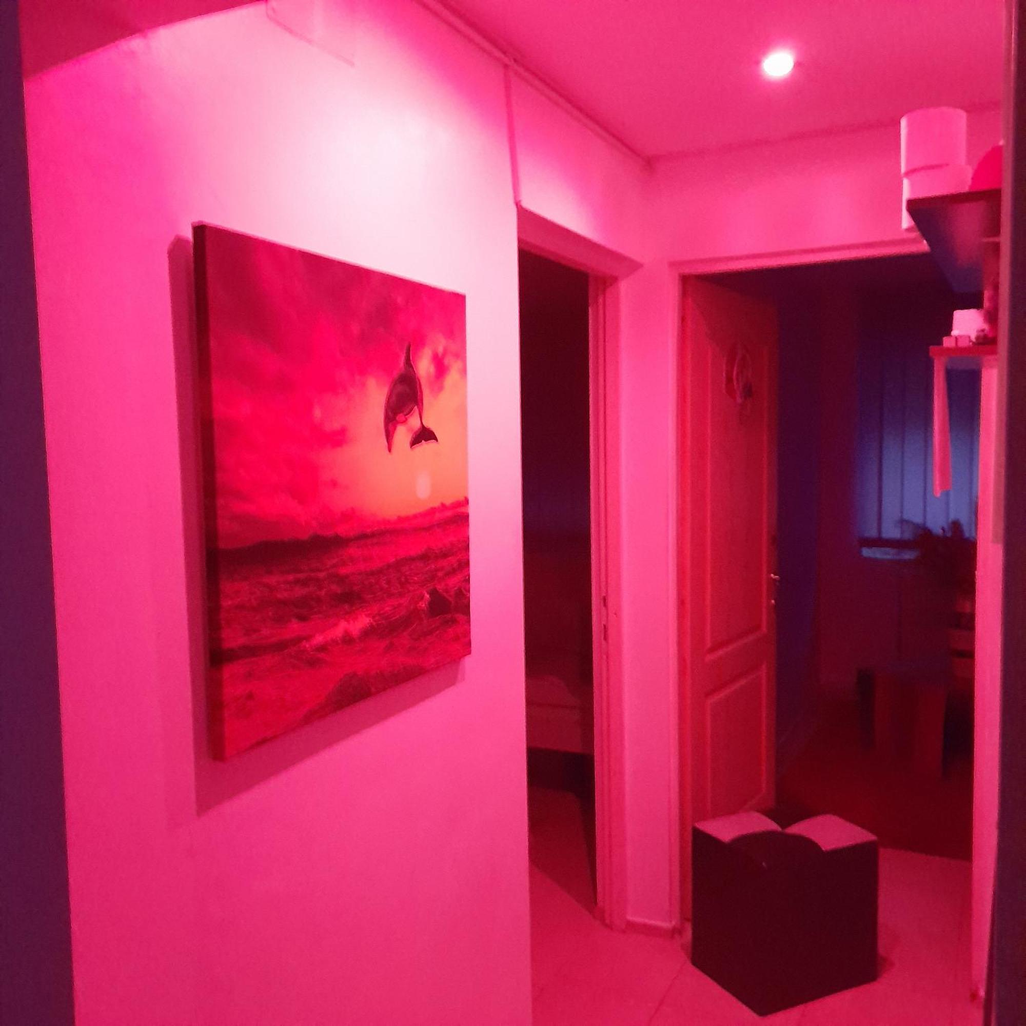Apartment Boulevard Cetate Άλμπα Ιούλια Εξωτερικό φωτογραφία