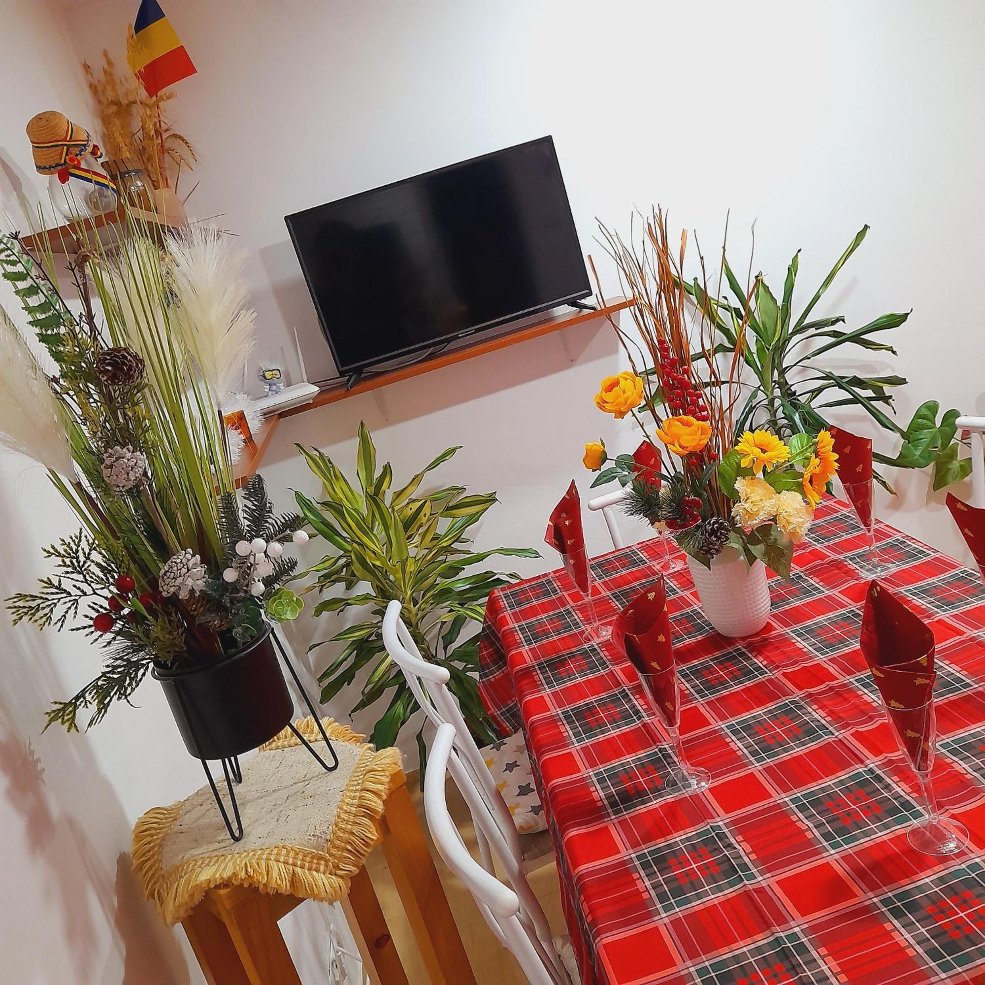 Apartment Boulevard Cetate Άλμπα Ιούλια Δωμάτιο φωτογραφία