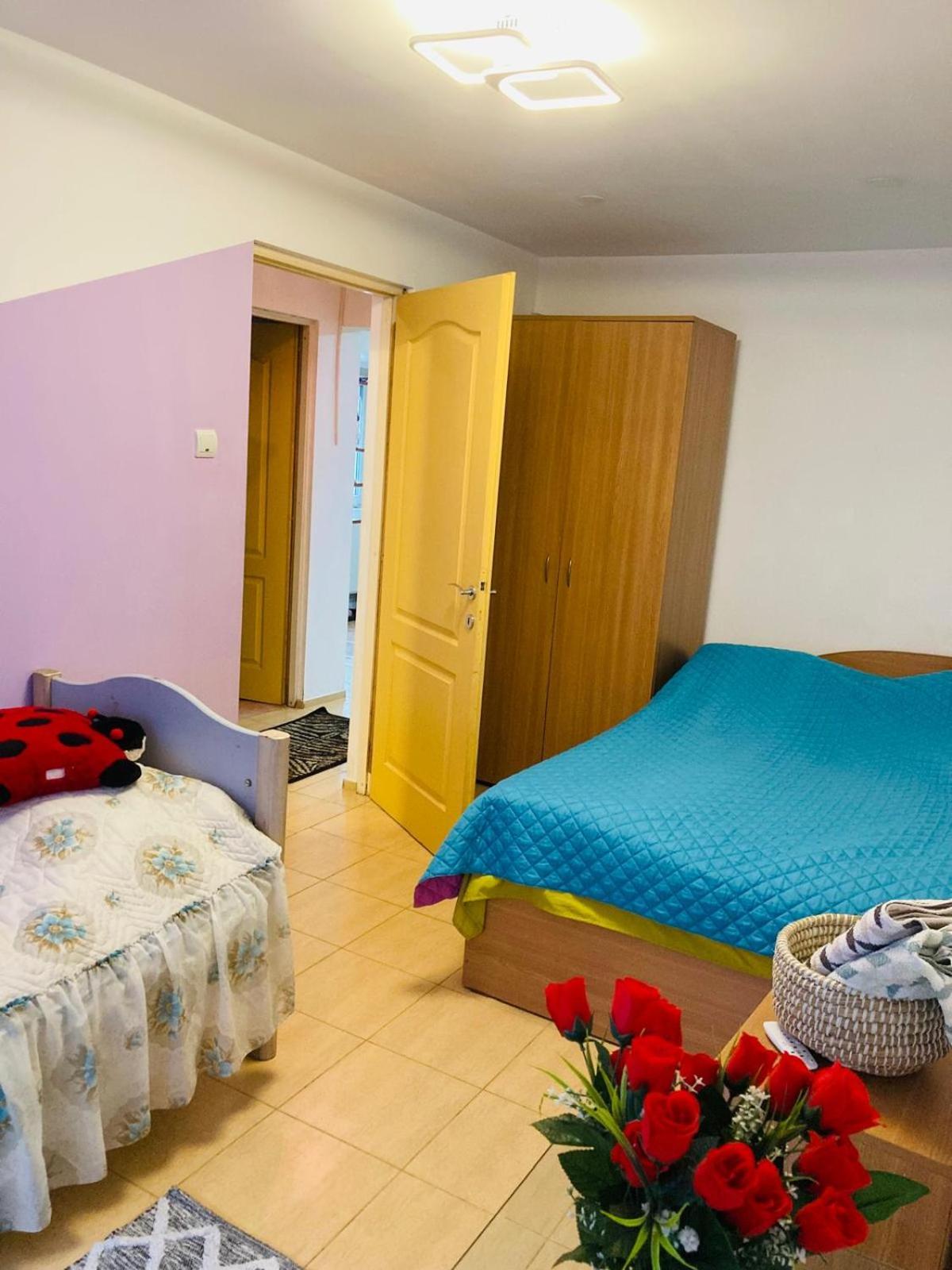 Apartment Boulevard Cetate Άλμπα Ιούλια Εξωτερικό φωτογραφία