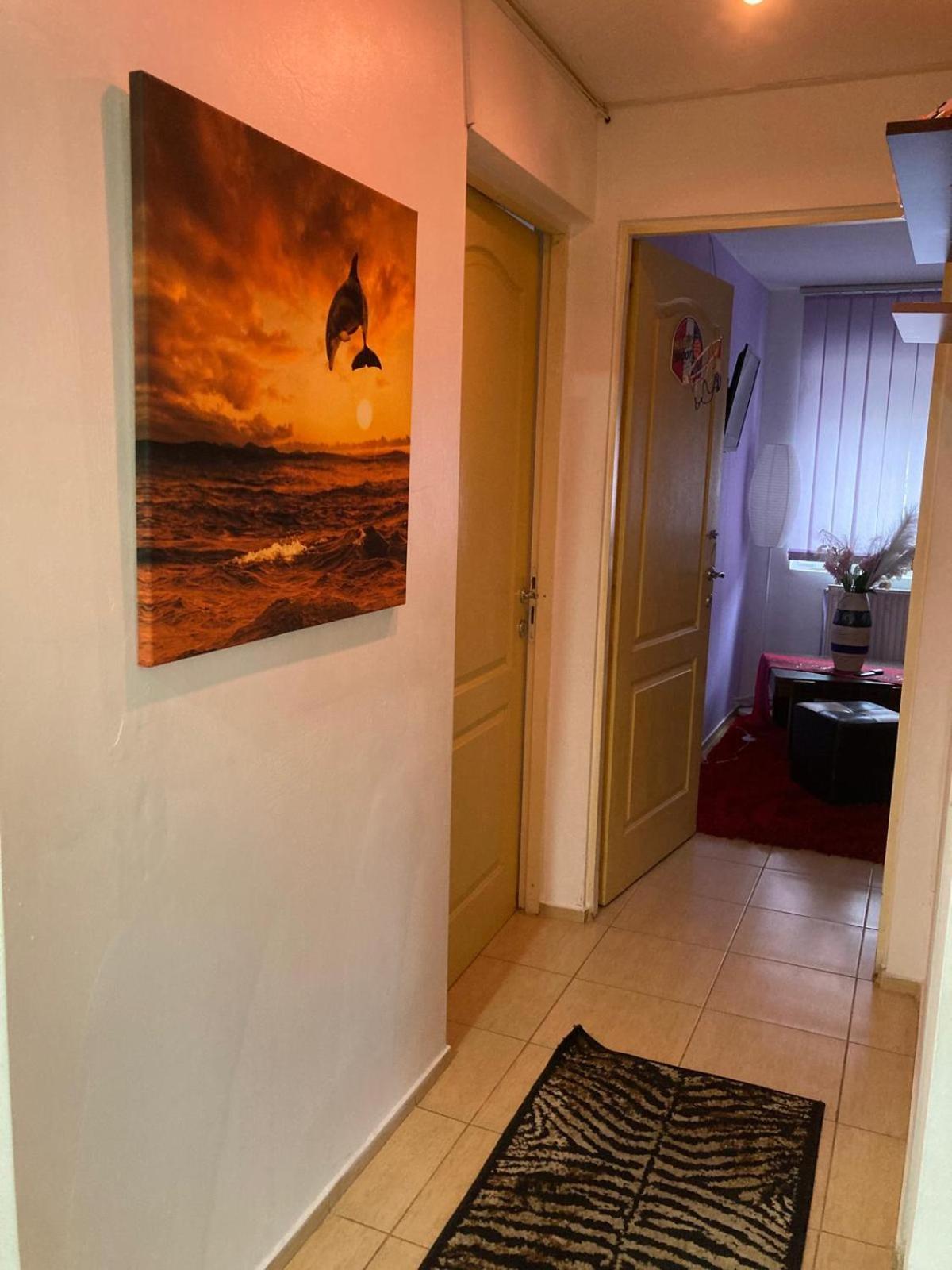 Apartment Boulevard Cetate Άλμπα Ιούλια Εξωτερικό φωτογραφία
